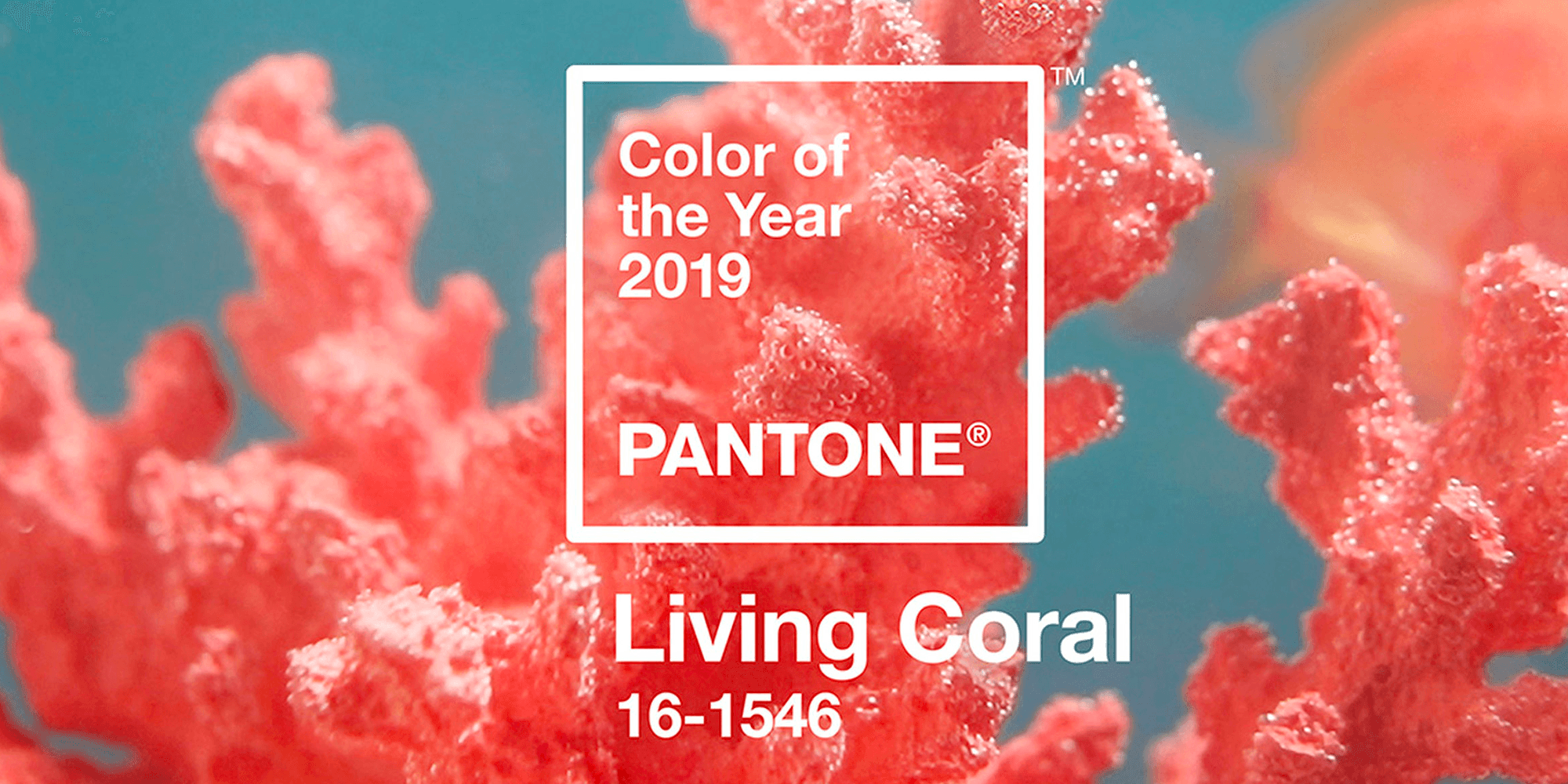 Couleur Pantone de l'année 2019