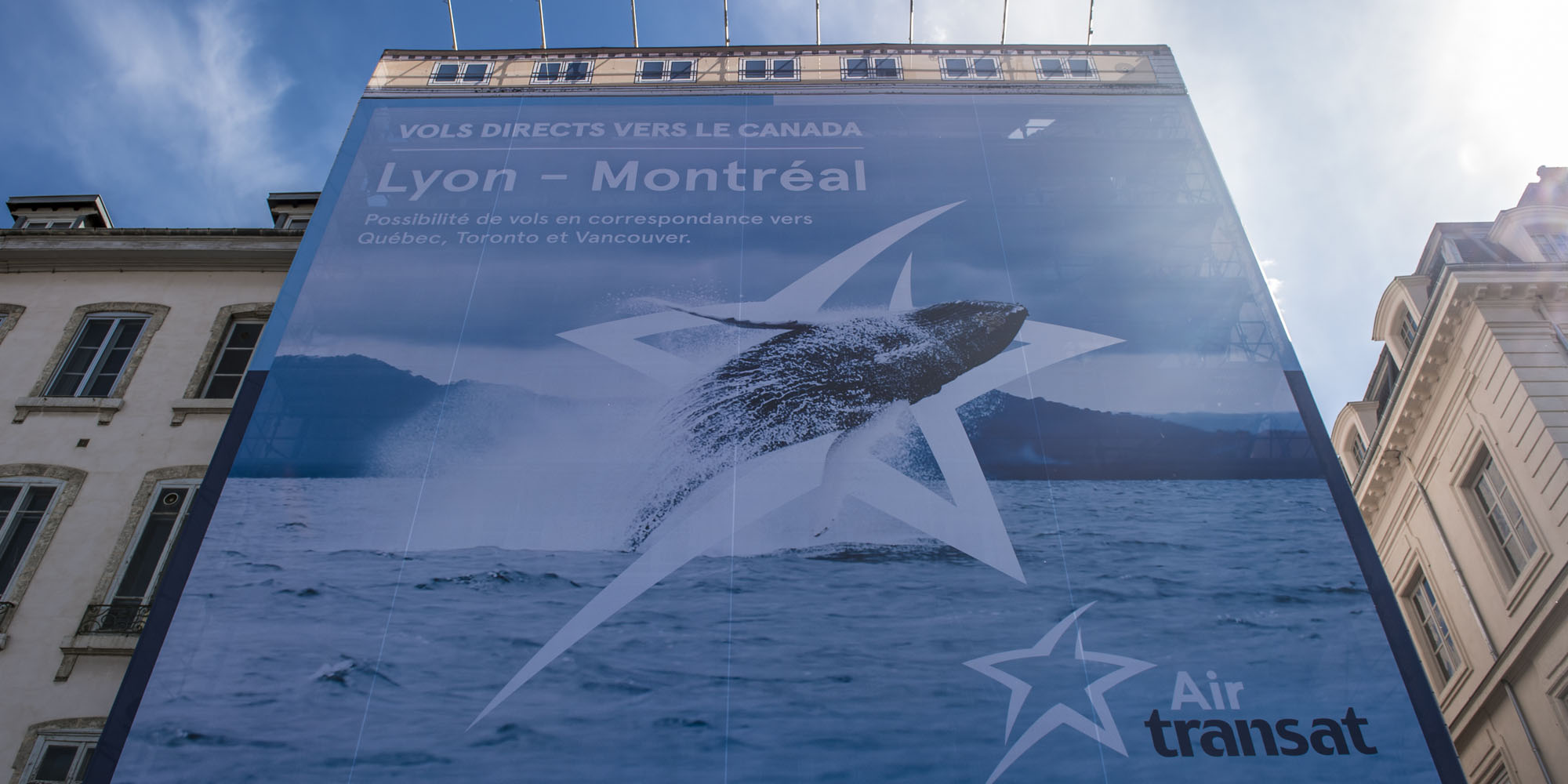 Light Air dévoile une baleine à Lyon !